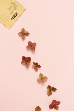 Flowers falling down from seeds envelope
