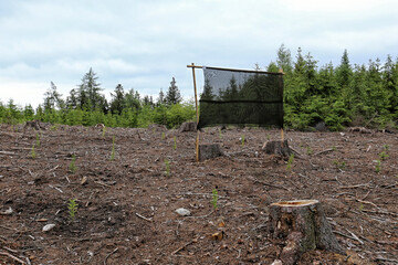 Trap for wood eating bugs in the forest clearance