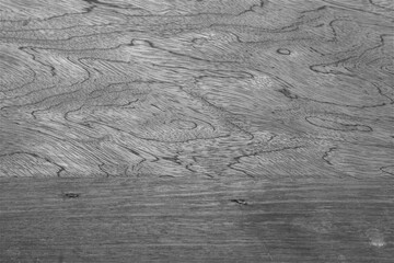 Wood Panel Wall Baseboard