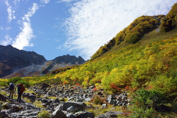 The beautifully colored leaves of Karasawa curl