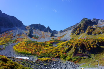 The beautifully colored leaves of Karasawa curl