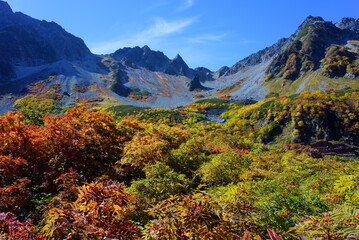 The beautifully colored leaves of Karasawa curl