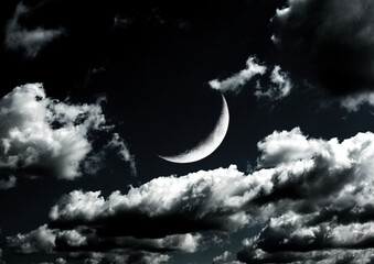 Obraz na płótnie Canvas The moon in the night sky. 3D rendering