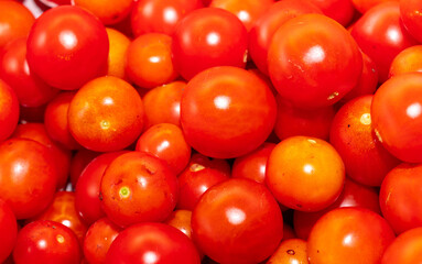 Red cherry tomatoes as background.