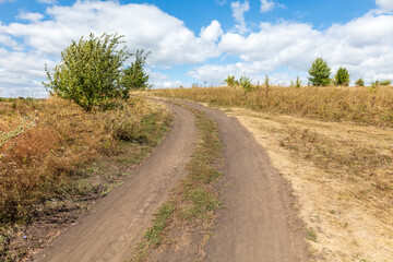 Naklejka premium Dirt road in the park