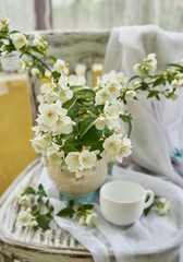 Fototapeta na wymiar Jasmine flowers in a white vase. Stillife with jasmine and cup of coffee.