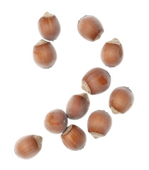 Hazelnuts isolated on a white background.