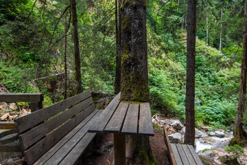 Fototapeta na wymiar tree and table while hiking in the mountains
