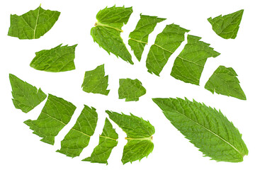 Spearmint leaf broken set