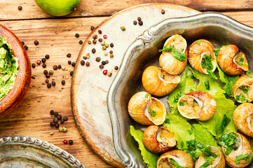 Bourgogne escargot snails