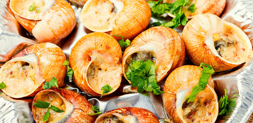 Closeup of eating snails
