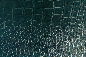 Fototapeta na wymiar Vintage stylish crocodile skin texture 