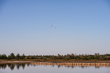 Salt evaporation lake shores. An industrial salt plant produces - natural sea salt.