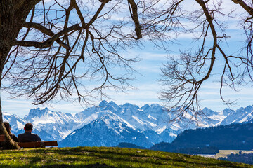 Fototapeta premium Allgäu - Alpen - Panorama - Frühling - Baum - entspannen