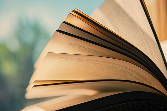 Pages of an open vintage book in the morning sunlight against the background of a window.