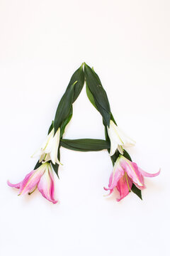 Flower A