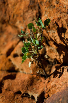 Australia, Northern Territory