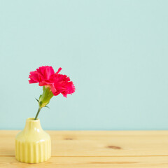 Vase of pink carnation flower on wooden table with blue background
