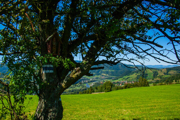 Catholic chapel in Beskid Mountain