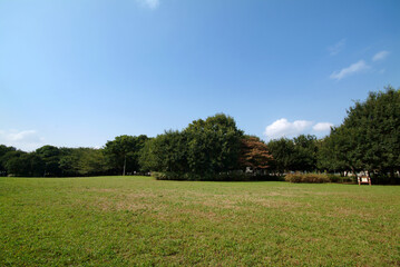 行田公園（千葉県船橋市）