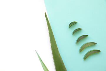 Fresh leaves and slices of aloe vera on a tropical background.