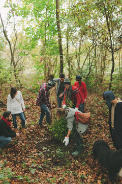 Group of Friends Planting a Tree