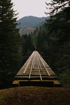 Vance Creek Bridge