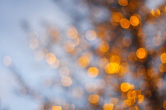holiday tree with lights