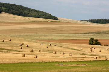 paysage de campagne