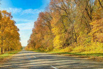 Naklejka na ściany i meble beautiful autumn road for travel