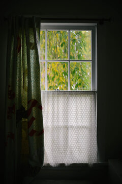 Window at fall