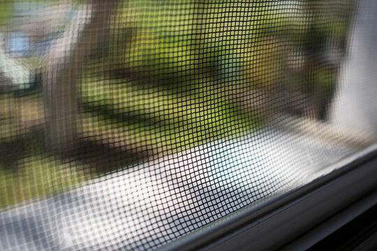 Mesh then mosquitoes and insect-colored cheo on the window of the house close up in the summer. Blur, selective focus.