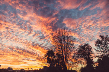 Cirrocumulus Clouds at sunset