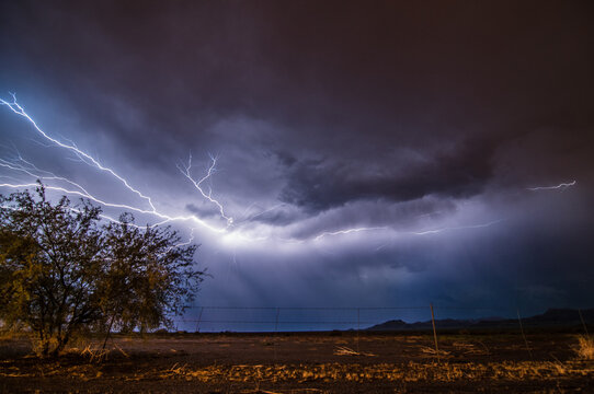 Cloud Lightning With Tree