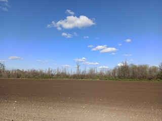 field and sky
