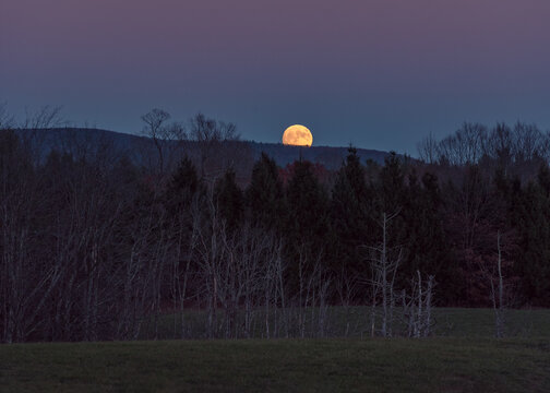 golden harvest moon at horizon