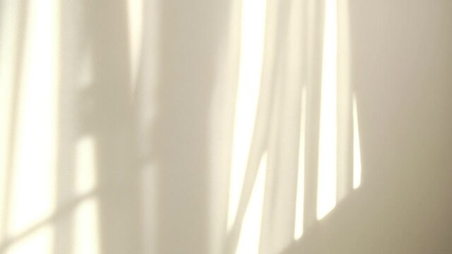 Morning sun lighting the room, shadow background overlays. Waving white tulle near the window.