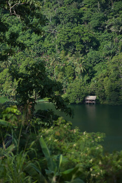 Jungle Lake