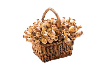 Fototapeta na wymiar Beautiful poppy seed heads, in a wicker basket isolated on white background.