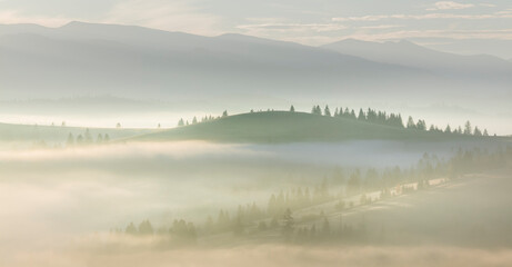 Naklejka na ściany i meble Morning Foggy misty landscape with forest and trees in mountains valley