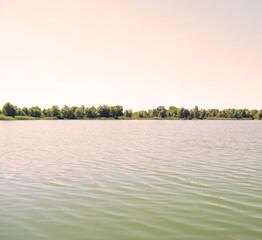 Lake near the forest in nature. Summer landscape