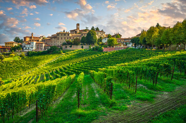 Neive village and Langhe vineyards, Piedmont, Italy Europe. - 379849047