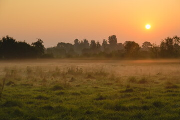 Sun rising over a grassy field in the Weelsby Woods area of Grimsby, North East Lincolnshire, England, United Kingdom