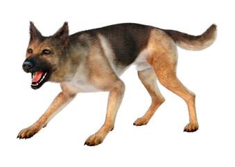 3D Rendering German Shepherd on White