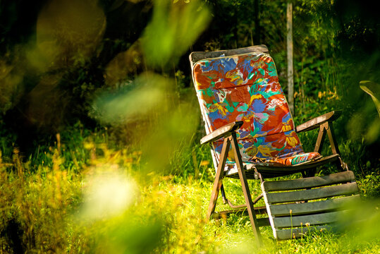 Deck Chair In A Private Garden Hidden Behind Green