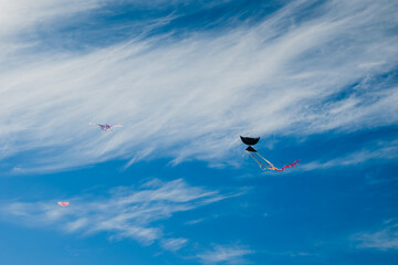 Kites were flying high in the clear blue sky.Kite was flying high in the clear blue sky.
