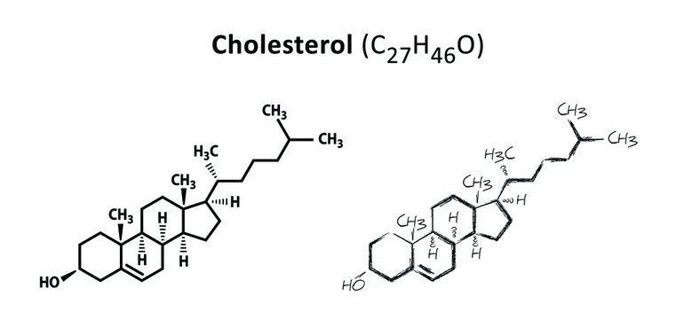 Cholesterol formula cemical structure C27H46O molecule Medical sign heart docktor blood HDL LDL health risk fat vector icons icon sign Structural formulas cell cells molecules membranes atom atomic