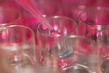 Multipette and multiwell tray, experiment in the microbiology laboratory