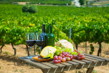 Red wine, cheese, bread and grapes on wooden table on background with green vineyard