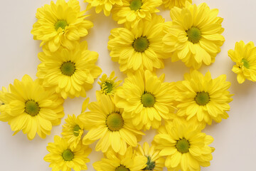 Naklejka premium Yellow camomile, flower background, yellow georgina pattern photography, august bright flowers